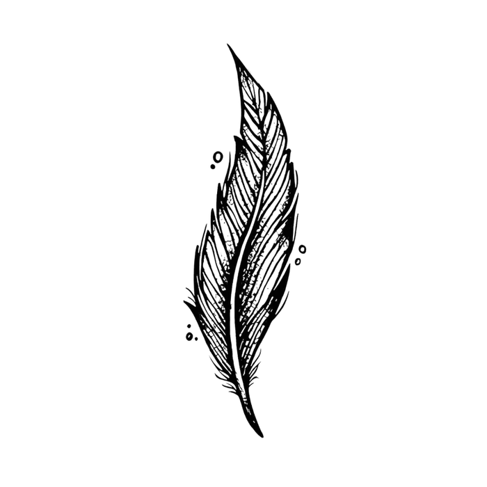 A Great Feather