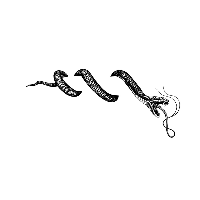 Contour Snake