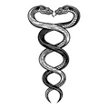 Black and white illustration of a caduceus with two snakes on a white background